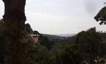 Imagem 3: Casa grande 400 m2 com potencial para pousada com 12 chales mais casas de hospedes