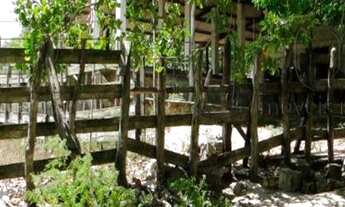 Imagem 4: Fazenda à venda, 270 Hectares por R$ 3.500.000 - Região de Mamanguape-PB