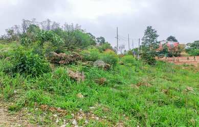 Imagem 10: Terreno em declive, na Colônia Antônio Prado - Almirante Tamandaré, PR