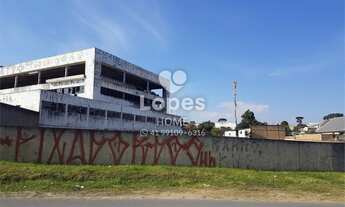 Imagem 6: Terreno Comercial/Industrial na Linha Verde