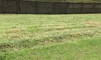 Imagem 5: Oportunidade Alphaville Fase 3