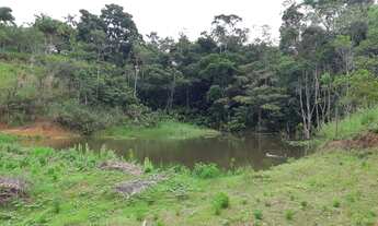 Imagem 7: Ótimo Sítio 74 Mil Metros2 - Escriturado - 900Mil - Ana Dias