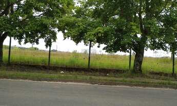 Imagem 6: Terreno à venda com 12156.2m² por R$ 7.800.000,00 no bairro Mauá - COLOMBO / PR