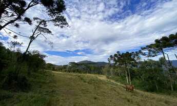 Imagem 3: Fazenda/Sítio/Chácara para venda tem 20000 metros quadrados/Rio dos Bugres - Urubici - SC