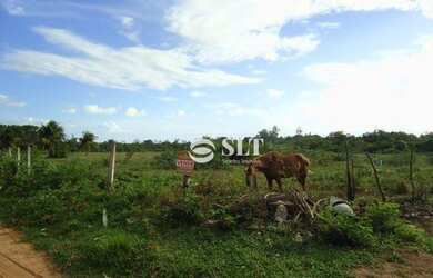 Imagem 4: S0032 - Terreno à venda, 6200 m² por R$ 550.000 - Bela Parnamirim - Parnamirim/RN