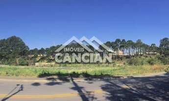 Imagem 5: Ótima área em Colombo, próximo á BR, E CLUBE SANTA MONICA , RUA ASFALTADA , para Barracão