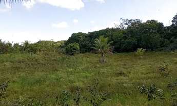 Imagem 5: Vende-se ou troca