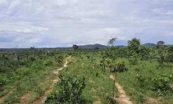 Imagem 5: FAZENDA À VENDA EM GOIANORTE TO 1.210 HECTARES (DUPLA APTIDÃO