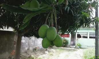 Imagem 3: Casa na Rua 7 de Setembro - Itinga