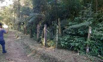 Imagem 4: Chácara ótima oportunidade