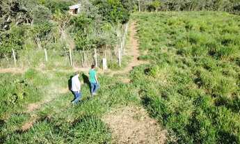 Imagem 7: Chácara 2 Hectares Chacara De 20.000M2, São 20.000M2!. 146MUNS