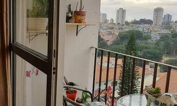 Imagem 3: Apartamento Para Alugar Na Vila Mafra