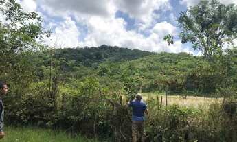 Imagem 4: /Vendo terreno do BR 174 com 270 hectares