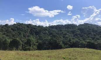 Imagem 2: Terreno para Venda em Campo Alegre, Laranjeiras