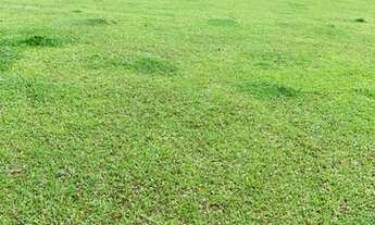 Imagem 3: VC - Vendo Terreno de 1.200m2, com negociação Facilitada