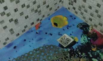 Imagem 2: Alugo apartamento de 2 quartos sala, cozinha, banheiro e área de serviço