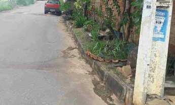 Imagem 2: Alugo casa Casa com 1 dormitório