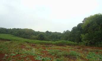 Imagem 6: AR 1021) 12 Hectares - Colonia Mousquer