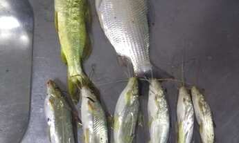 Imagem 7: Rancho de pesca no rio são Francisco