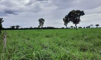 Imagem 7: Dueré - Fazenda - Dueré (Todos os setores