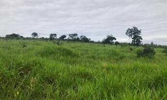 Imagem 4: Fazenda 61 alqueires otima Logistica