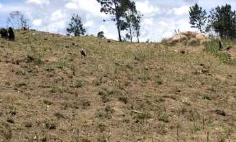 Imagem 7: Lote/Terreno para venda com 1000 metros quadrados em Barreiro - Mairiporã - SP