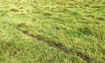 Imagem 3: Ml - Vende-se Terreno,Venha conhecer esse lindo local