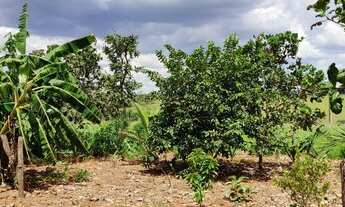 Imagem 6: Vendo chácara Chácara com venda por R$320.000