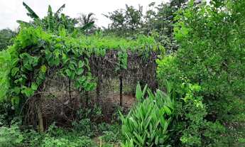 Imagem 6: Vende se Casa com 5 dormitórios