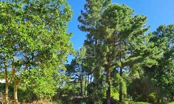 Imagem 4: Terreno para Venda - 0m², 0 dormitórios, Vila Nova