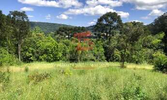 Imagem 2: Chácara à venda no interior de Nova Petrópolis na Serra Gaúcha