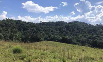 Imagem 3: Terreno para Venda em Campo Alegre, Laranjeiras