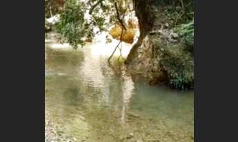 Imagem 3: CHÁCARA 3 ALQUEIRES COM CÓRREGO !