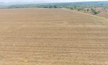 Imagem: Fazenda em Silvanopolis. Dupla aptidão