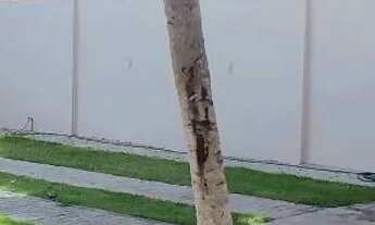 Imagem 6: Casa Aluguel em Barra do Cunhau - RN. (Recanto_JL2302