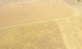 Imagem 2: Fazenda em Silvanopolis. Dupla aptidão