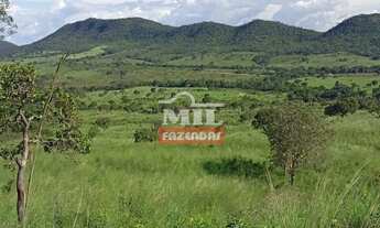 Imagem: Fazenda em Montividiu do Norte 57 Alqueires