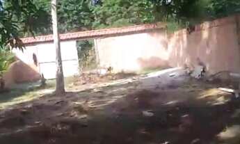 Imagem 7: ? Terreno 10x40 no Ramal do Jambo - Jorge Teixeira - 100 mil (Aceito proposta