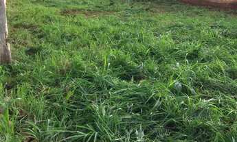 Imagem 2: Lote com 360m² no Setor Cristina, Trindade