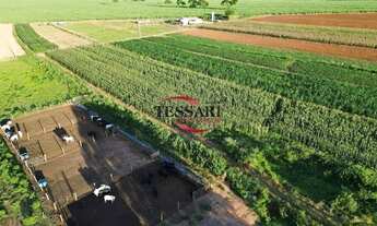 Imagem 3: Vende-se Sitio com 11 alqueires com represa próximo a cidade de José Bonifácio