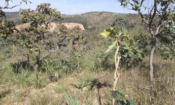 Imagem 3: Terreno de 7 hectares, com nascente e córrego nos fundos, próximo a Serra do Cipó