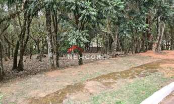 Imagem 2: Lote em condomínio em Rua Janina - Vila de São Fernando - Cotia/SP