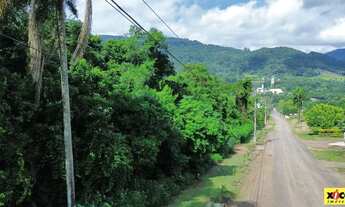 Imagem 4: Terreno para Venda em Picada Café, Floresta