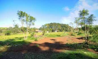 Imagem 4: Chácara à venda, Aparecidinha - Foz do Iguaçu/PR