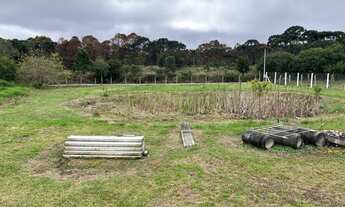 Imagem 5: Terreno 5.800m2 Região do Caminho do Vinho próximo a fábrica da Renault