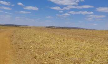 Imagem 4: Fazenda de 128 alqueires em Doverlandia-Go