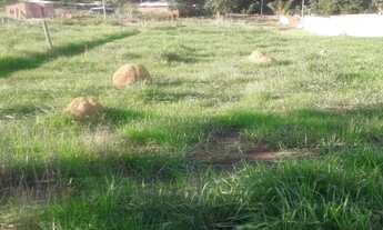 Imagem 6: Vende se ágio terreno 520m2 Residencial aurora das mansões