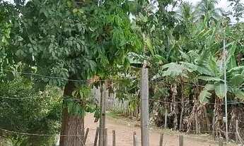 Imagem: Vendo Terreno Comercial de Esquina e na