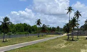 Imagem 3: Lote em Condomínio Fechado de Alto Padrão em Paripueira - 300m²