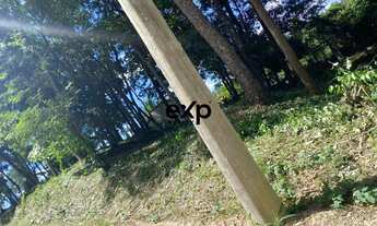 Imagem 2: Terreno à venda no Cond. Solar Das Palmeiras